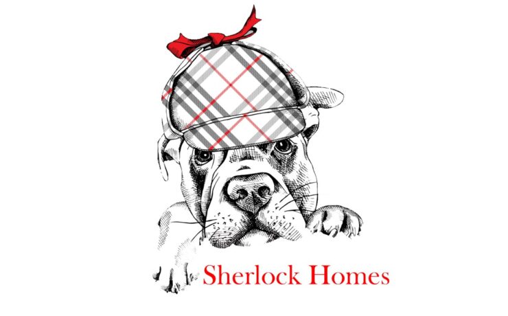 Sherlock Homes