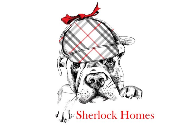 Sherlock Homes