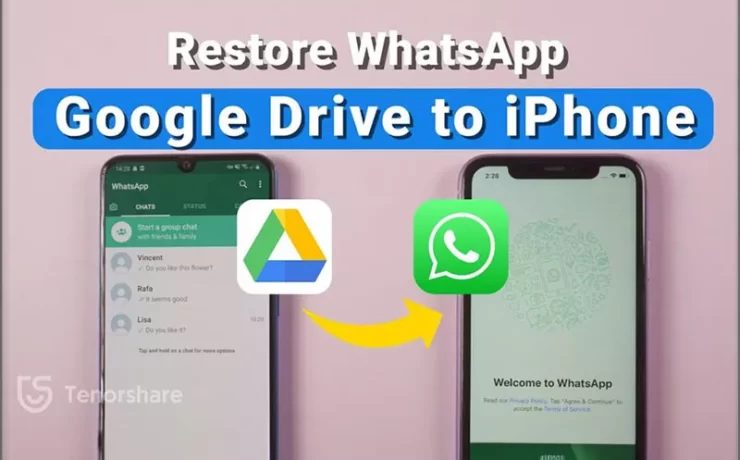 Restore WhatsApp